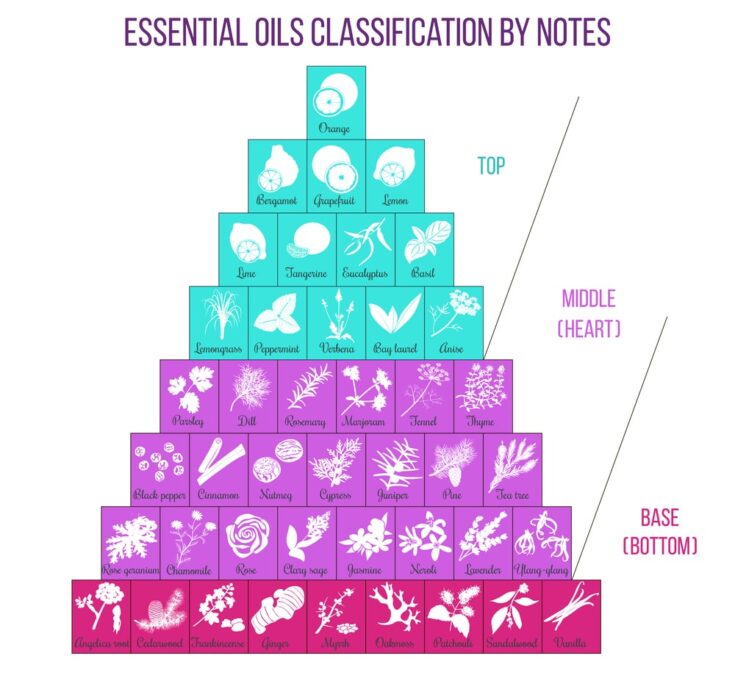 The Best Essential Oils for Yoga Practice Yogalaff